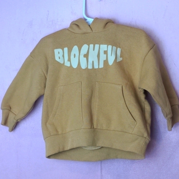 Zara Blockful Neutral Tan Hoodie size 9-12 Months - Picture 1 of 4